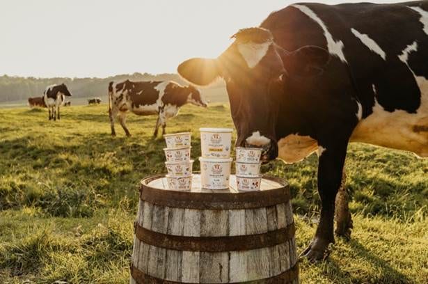 LIVE: Painterland Sisters Declares First-Ever National Skyr Yogurt Day